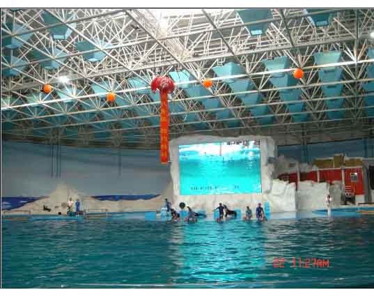 孝义游泳馆螺栓球网架